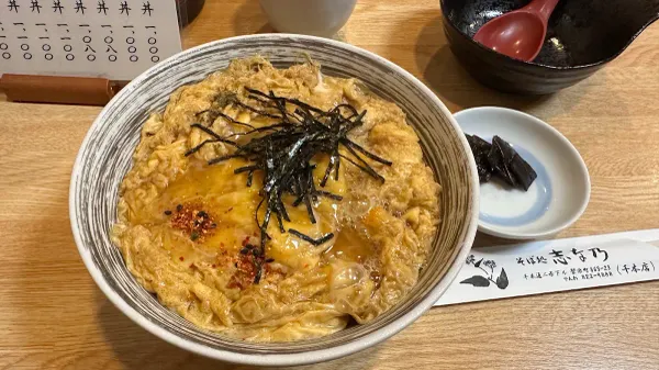 시나노 사진 3