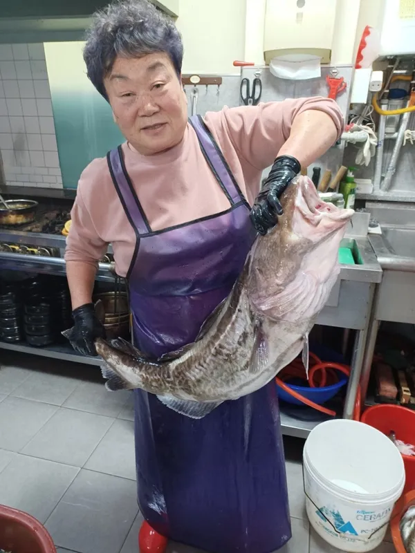 전라도집