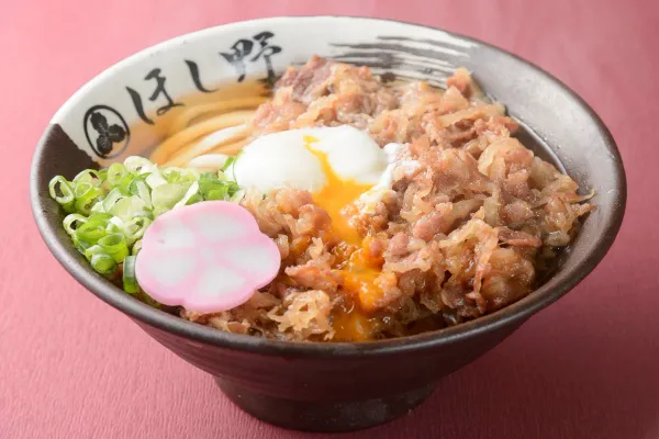 호시노 사진 4