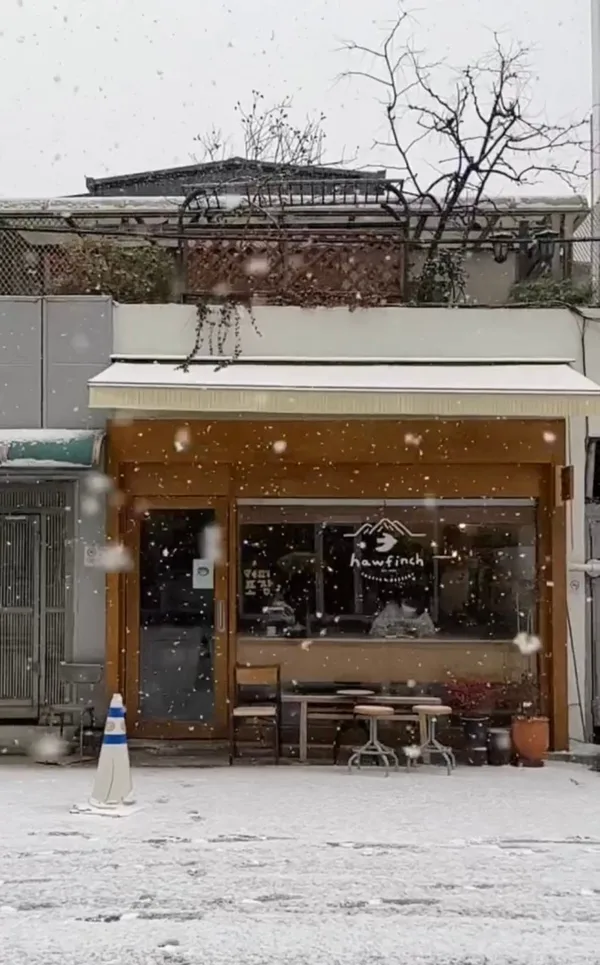 호핀치