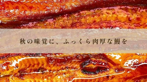장어 나루세 교토 카라스마 히가시점