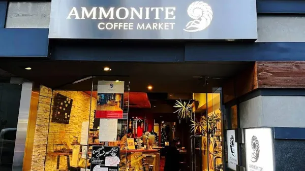 Ammonite Coffee Market