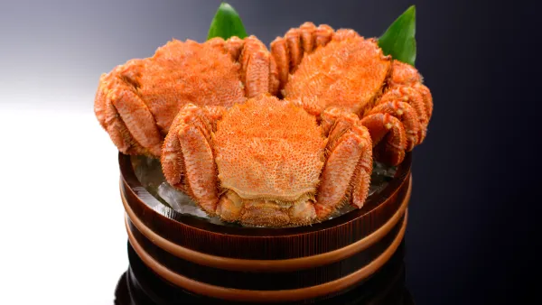 シハチ鮮魚店 사진 4