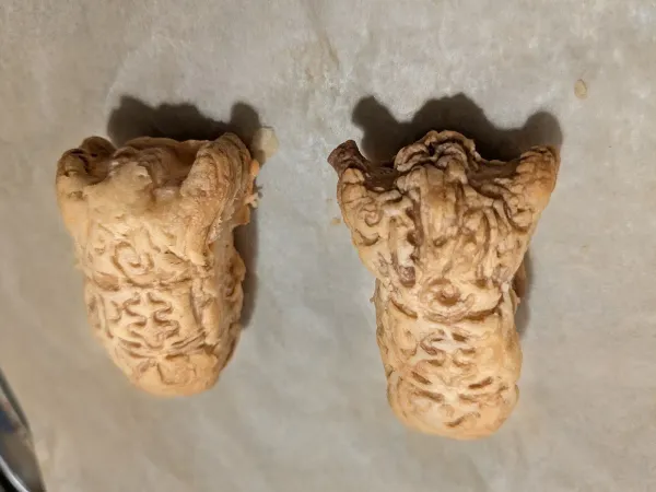 Raisin 사진 3