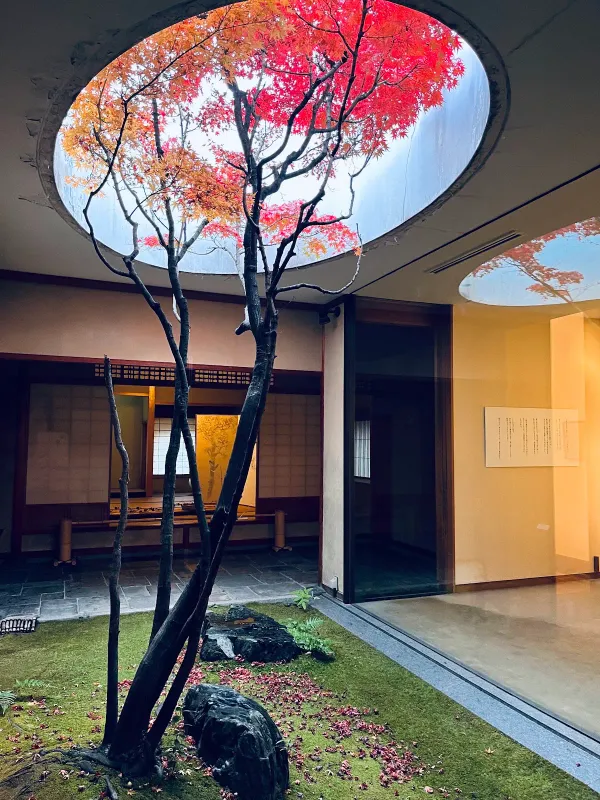 Kahitsukan – Kyoto Museum of Contemporary Art 사진 3