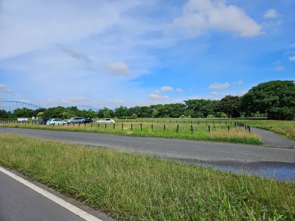 淀川河川公園 西中島地区の写真5