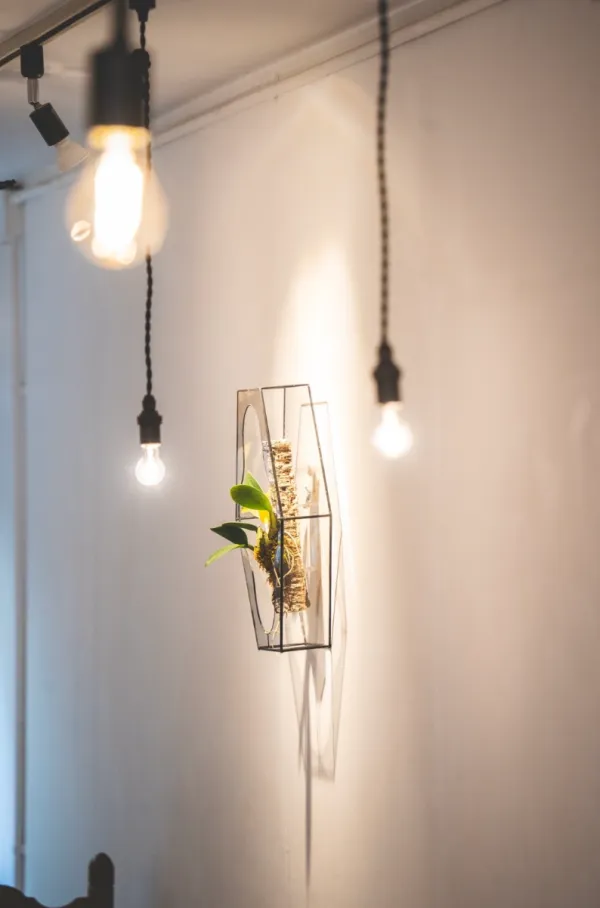 うめぞの CAFE & GALLERYの写真4