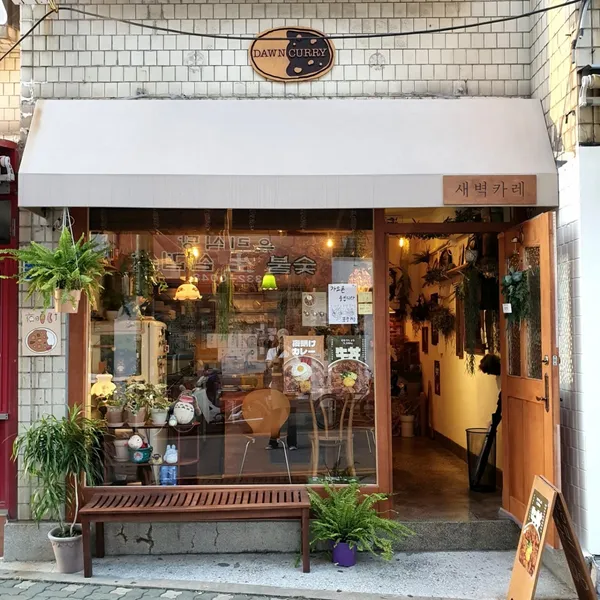 새벽카레
