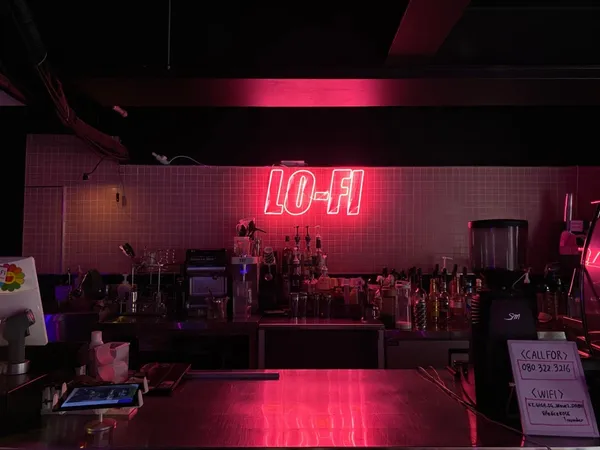 로파이