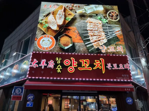 속초 맛집 59곳