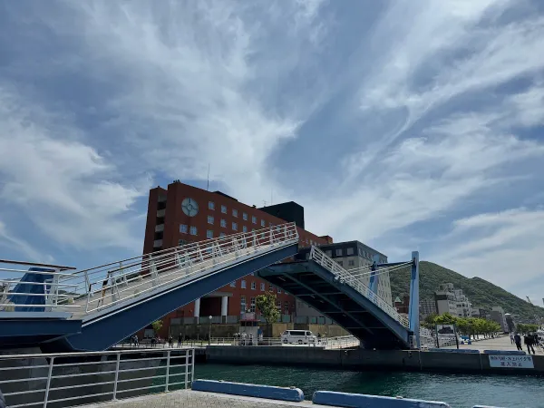 블루윙모지 사진 5