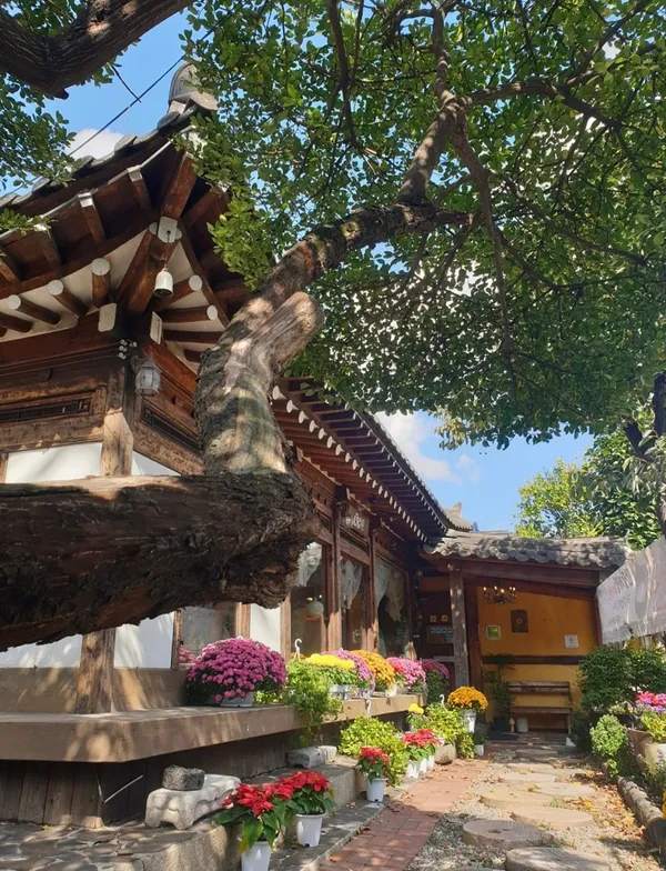 국화정원