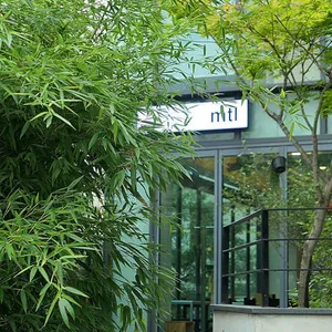 mtl 효창