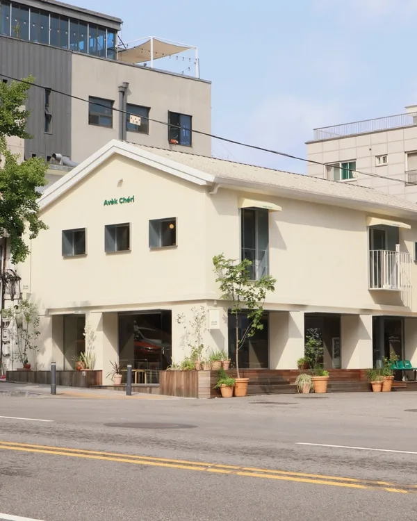 AVEK CHERI 아벡쉐리