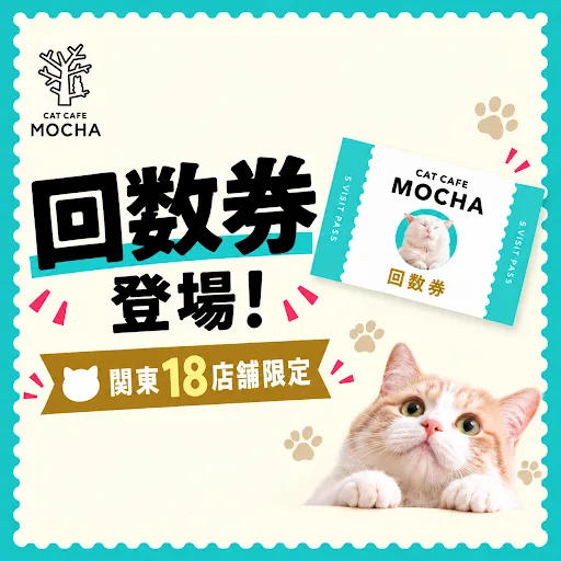 猫カフェ MOCHA(モカ) 秋葉原店の写真5