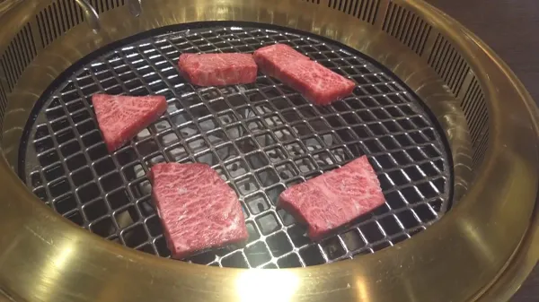 히다규마루아키 사진 3