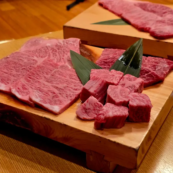 히다규마루아키 사진 5