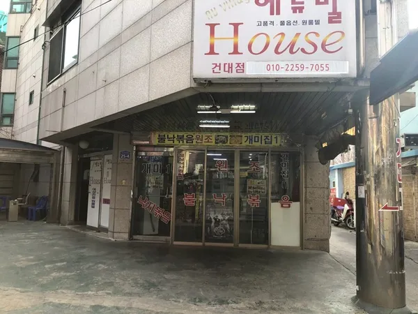 개미집