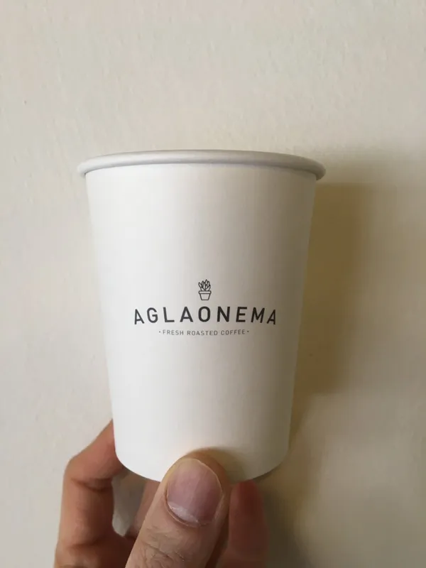 아글라오네마 사진 3