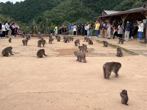 몽키파크