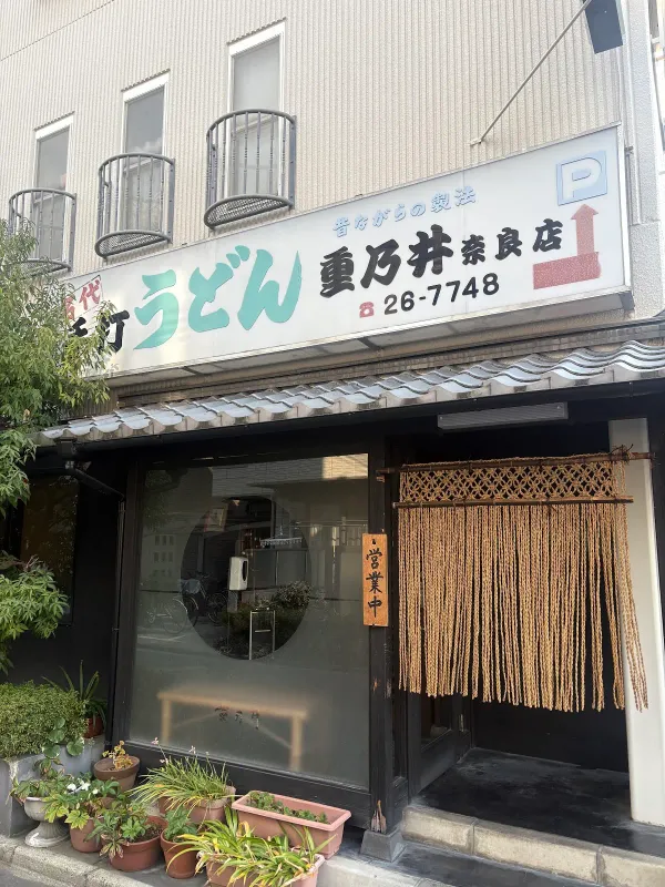 시게노이 우동 사진 5