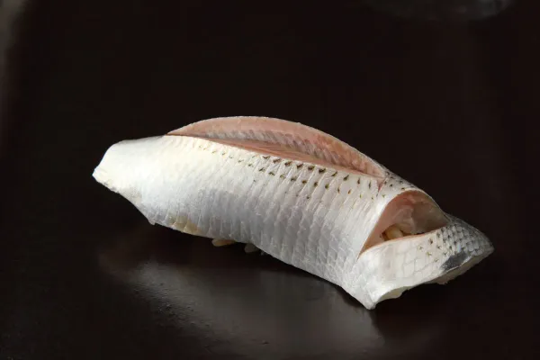 Sushi Shimizu 사진 2