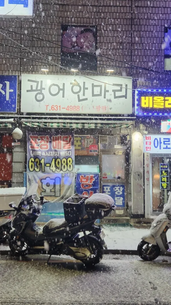 광어한마리