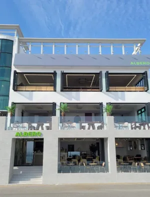 Cafe Albero