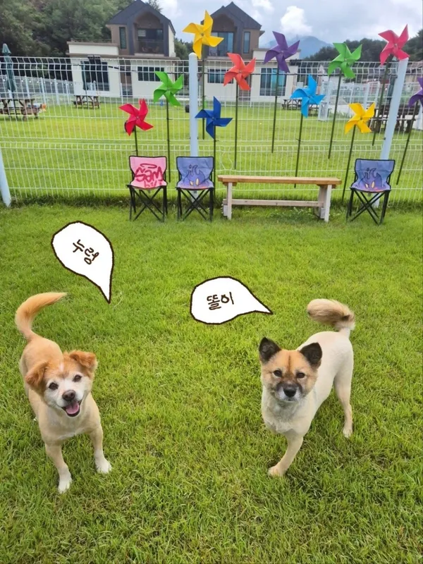 오구커피