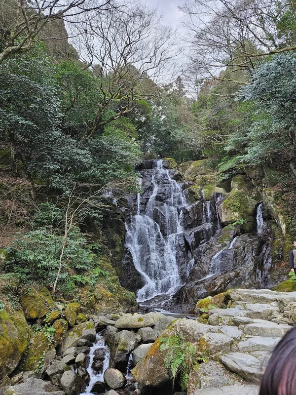白糸の滝の写真3