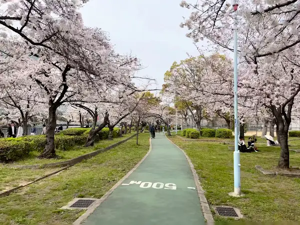 こども広場 사진 3