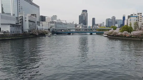 川崎橋の写真4