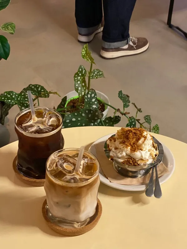 카페 셰이디드