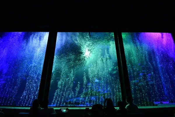 마린월드 우미노나카미치 (Marine World Uminonakamichi) 사진 2
