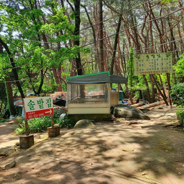 솔밭집