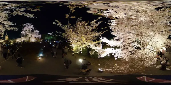 도지(교왕호국사) 사진 2