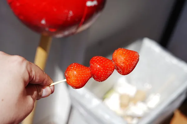 栗と果 Fruit Mochi