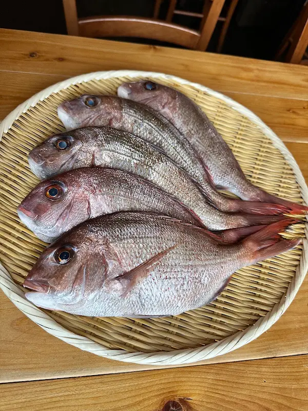 炊き餃子と九州の炉端酒場 晴レトキ 사진 5