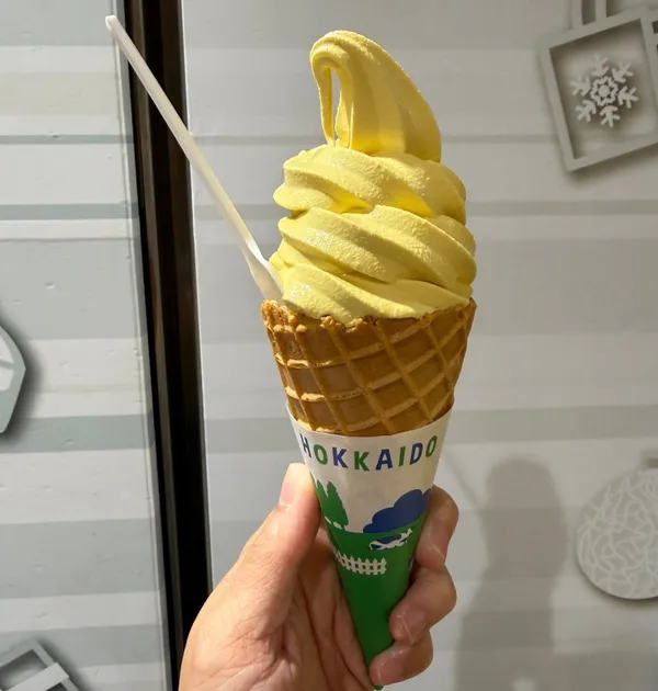 와카사이모 사진 5
