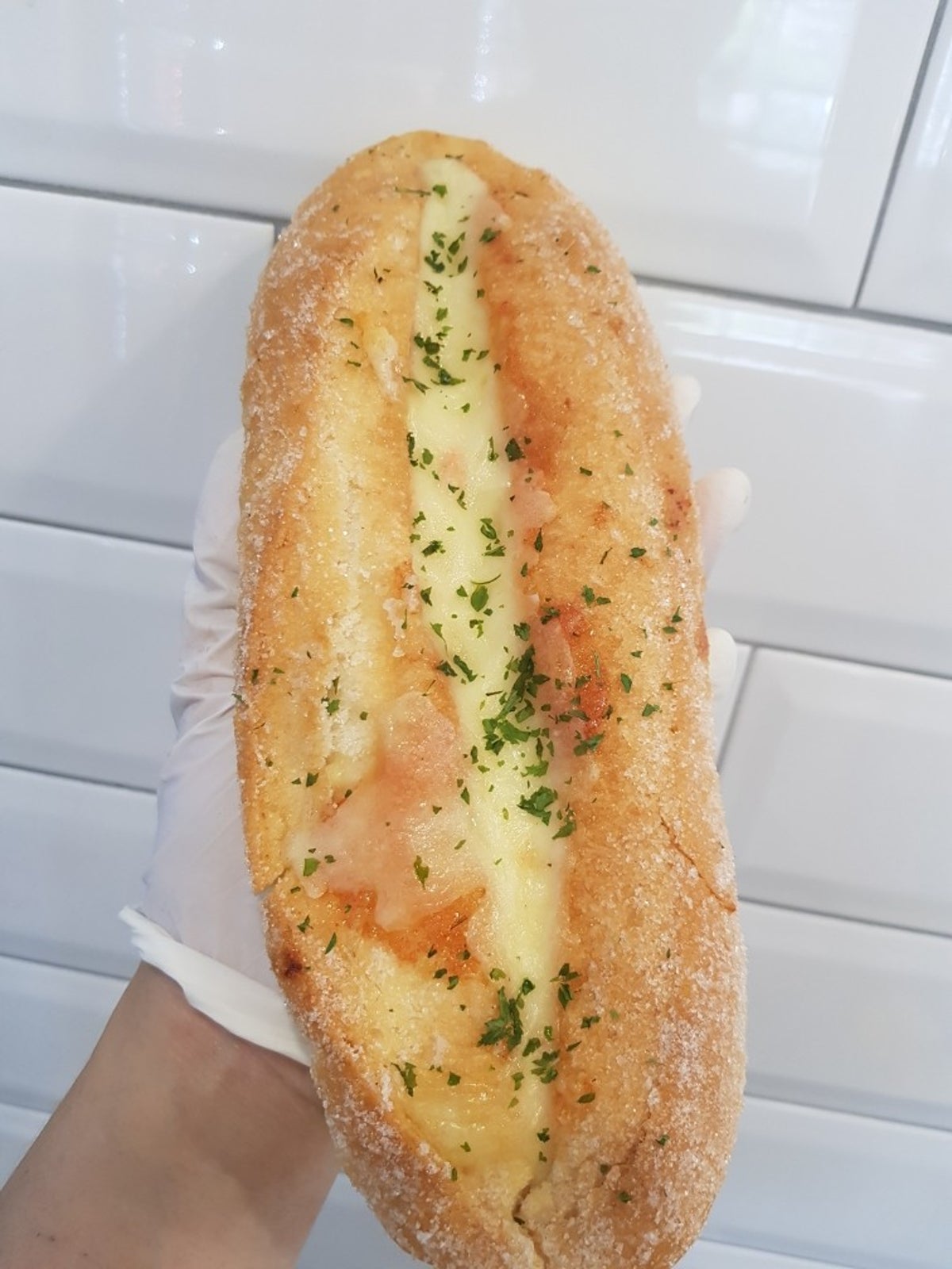 오베르망 사진 5