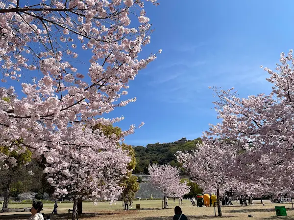 Shiroyama Park