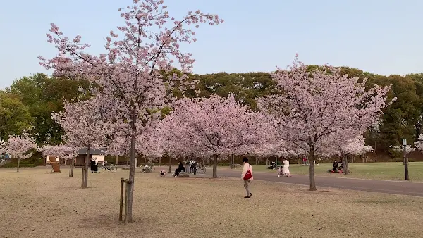 Shiroyama Park 사진 3