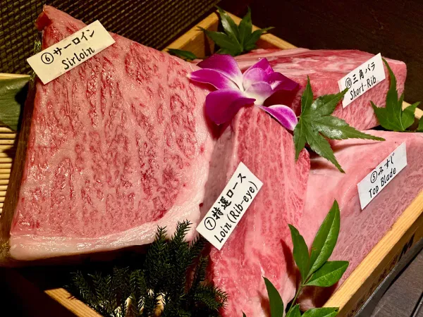 Yakiniku M Hozenjiyokocho 사진 4