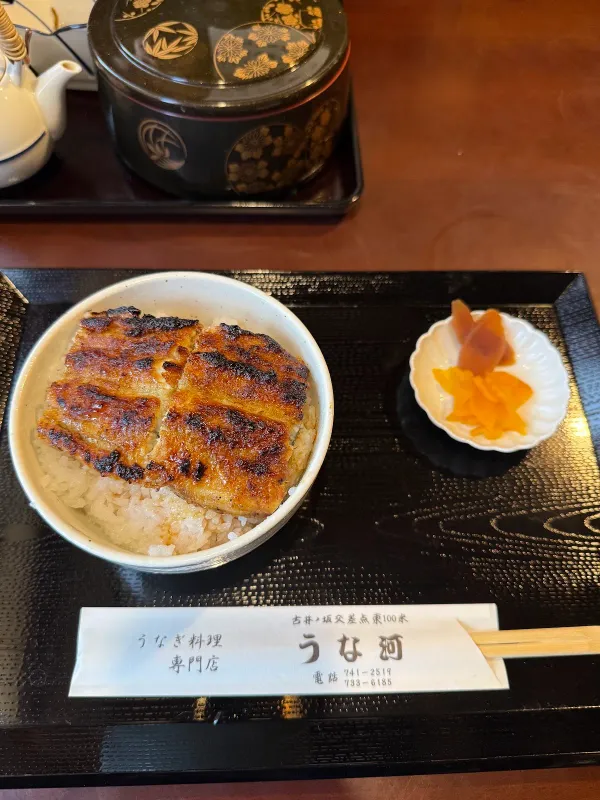 うな河の写真4