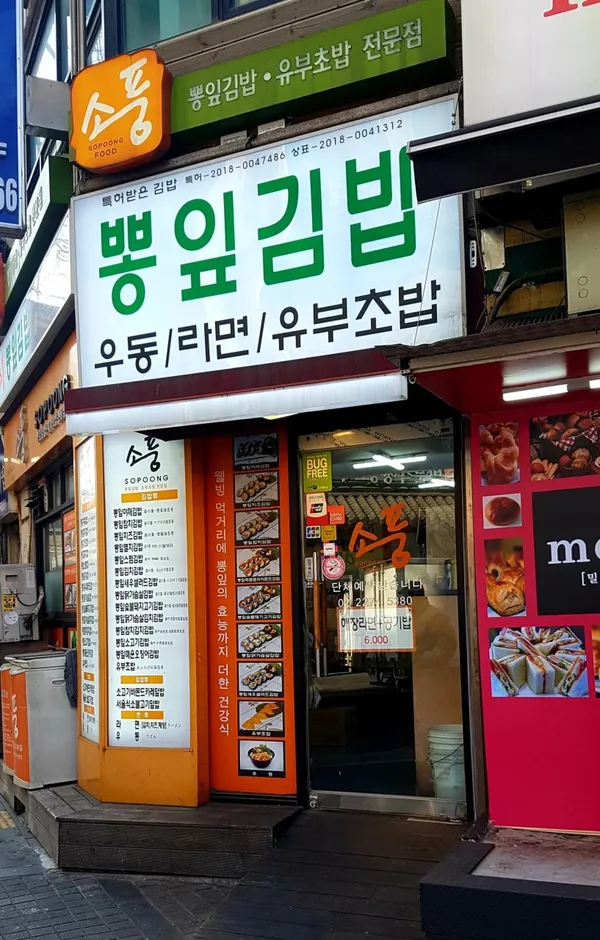 소풍
