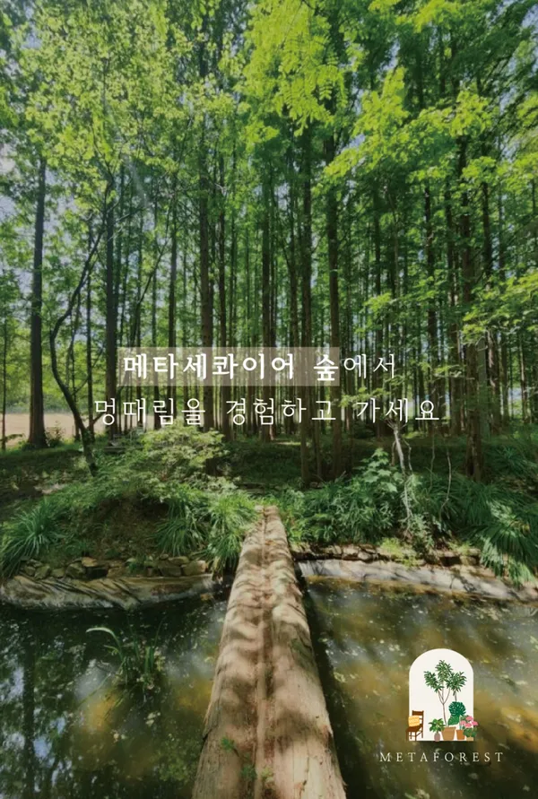 메타포레스트