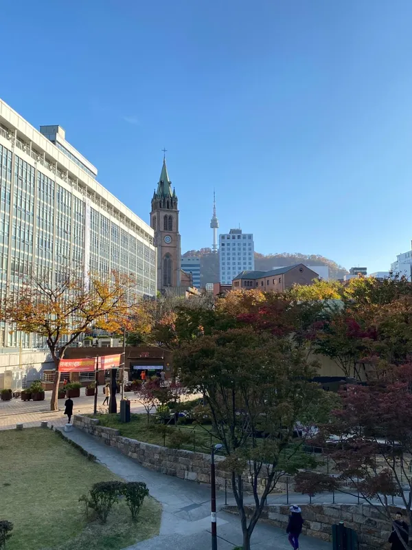 와인주막차차 명동점
