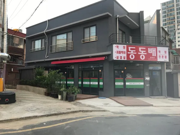 동동배