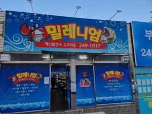 밀레니엄
