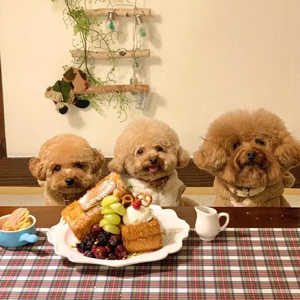 무니